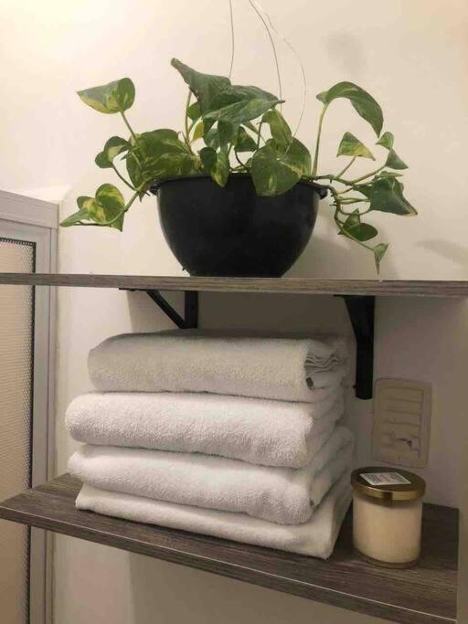 Comfortable And Private House 2 Bedrooms Wifi Parking Free Monterrey Extérieur photo